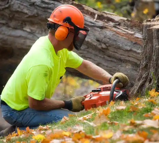 tree services Berwick